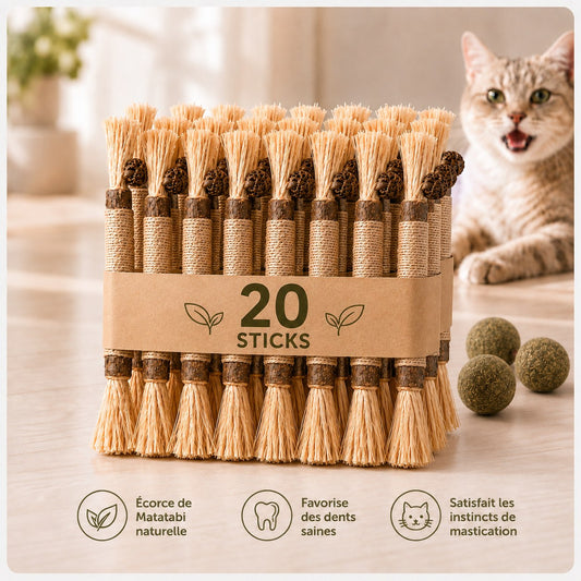 Pack de bâtonnets de Matatabi conservés au sec