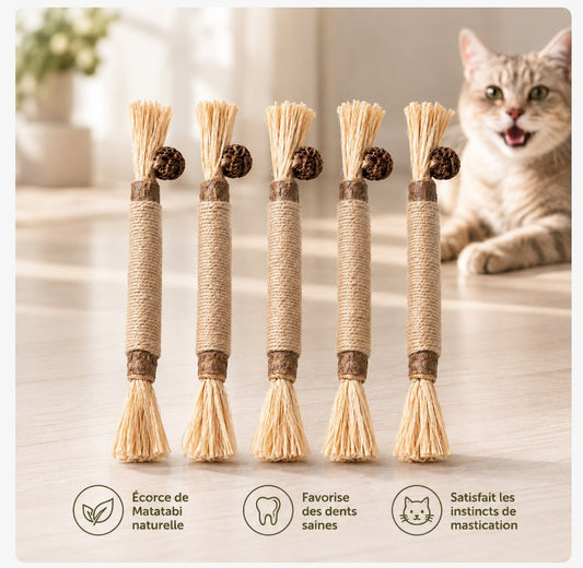 Cinq bâtonnets de Matatabi naturels pour chat
